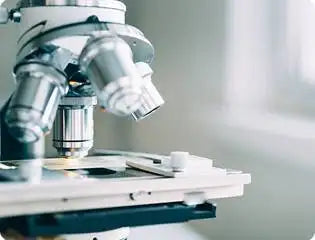 Silver metallic compound microscope with adjustable lenses and a stage for specimen slides.